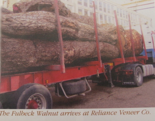 The Fulbeck Walnut