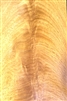 Cerejeira Crotch/ Curl Veneer
