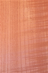 DYED ASH BLUSH DYED VENEER