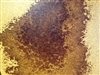 Amboyna Burl/ Burr Veneer