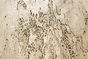 Birch Burl/ Burr Veneer