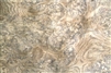 Brown Oak Burr Veneer