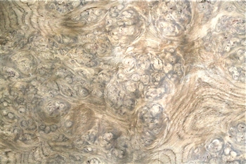 Brown Oak Burr Veneer
