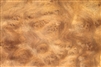 Camphor Burl/ Burr Veneer