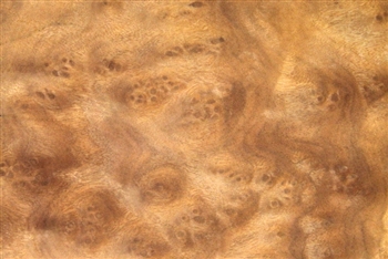 Camphor Burl/ Burr Veneer