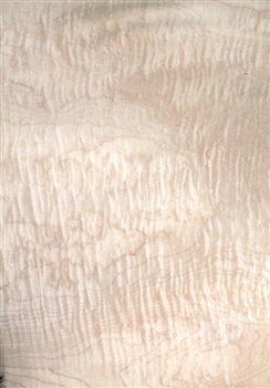 Curly maple Veneer