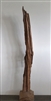 DRIFTWOOD