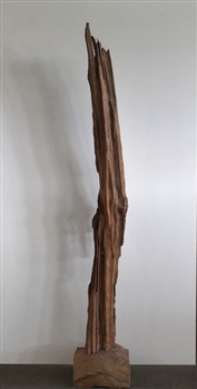 DRIFTWOOD