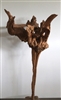 DRIFTWOOD