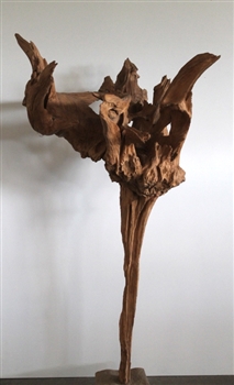 DRIFTWOOD