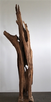 DRIFTWOOD