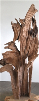 DRIFTWOOD SCULPTURE