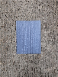 EUCALYPTUS FIGURED AZURE BLUE