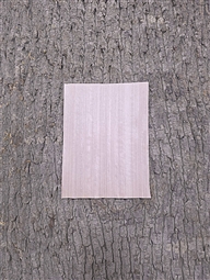 EUCALYPTUS FIGURE BLUSH