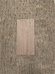 FIGURED EUCALYPTUS COCO BROWN