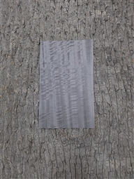 FIGURED EUCALYPTUS FLINT GREY