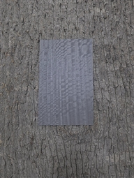 EUCALYPTUS FIGURED FOSSIL GREY