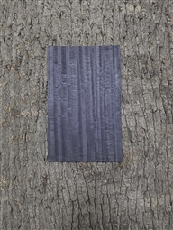 FIGURED EUCALYPTUS GRAPHITE BLACK