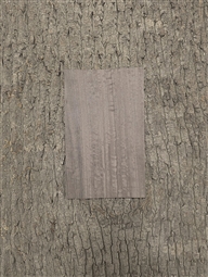 FIGURED EUCALYPTUS GRANITE