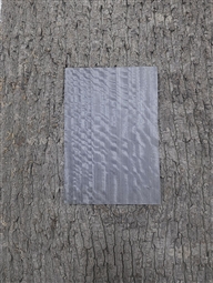 FIGURED EUCALYPTUS STEEL GREY
