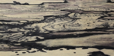 EBONY WHITE VENEER