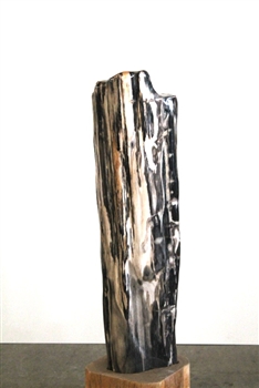FOSSILISED WOOD