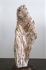 FOSSILISED WOOD