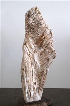 FOSSILISED WOOD