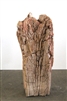 FOSSILISED WOOD