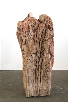 FOSSILISED WOOD