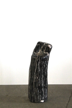 FOSSILISED WOOD
