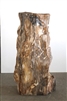 FOSSILISED WOOD