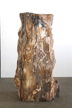 FOSSILISED WOOD