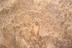 Golden Madrone Veneer