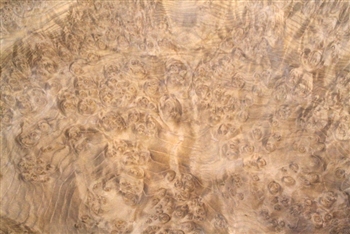 Golden Madrone Veneer
