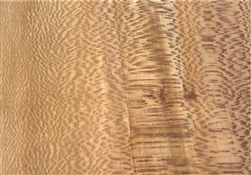 LACEWOOD