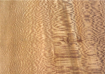 LACEWOOD