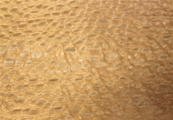 Lauro Faia Veneer