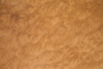 Madrone Burl/ Burr Veneer