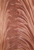 Mahogany Crotch/ Curl Veneer Plate 13