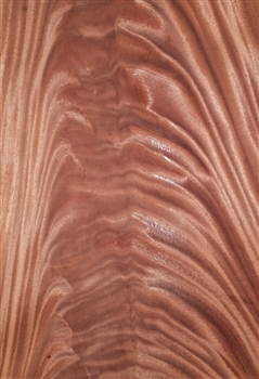 Mahogany Crotch/ Curl Veneer