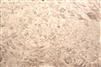 Maple Burl/ Burr Veneer