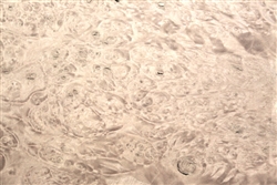 Maple Burl/ Burr Veneer