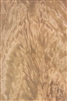 Notra crotch Veneer