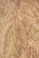 Notra crotch Veneer