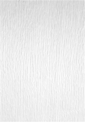 OAK ARCTIC