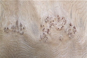 Oak Cluster Veneer