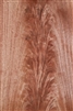 Okoume Crotch Veneer