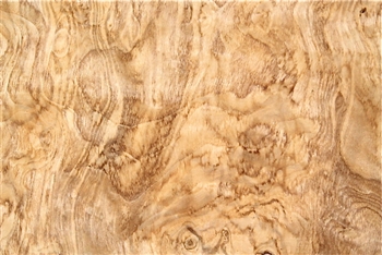 Olive Ash Burl Veneer