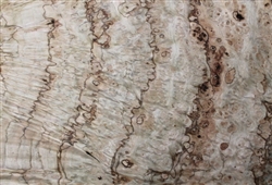 Pepperwood Burl Veneer